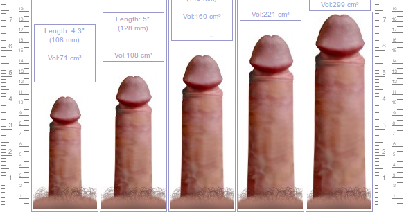 teens sex drugs cheating the definitive penis size survey